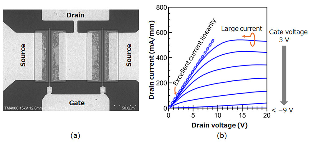Figure 3. (a) Top-view scanning-electron-microscope image of the AlN-based transistor (Al composition: 85%), and (b) drain current‐voltage characteristics as the gate voltage varied from +3 to −9 V.