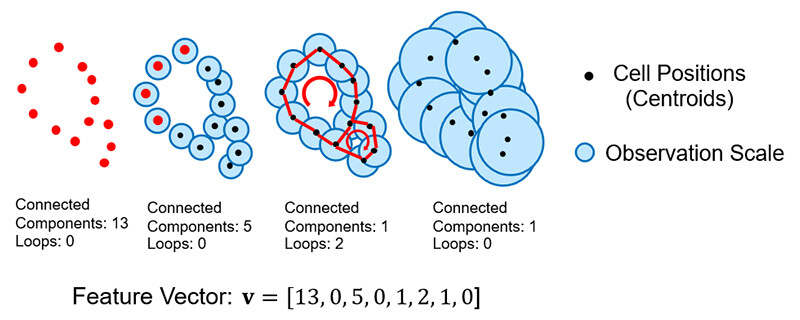 Figure 2. Concept of Multiscale Feature Extraction