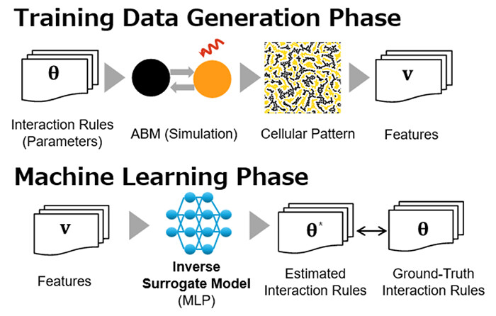 Figure 3. Workflow for Constructing the Inverse Surrogate Model. The inverse surrogate model is constructed through two phases: a training data generation phase and a machine learning phase, in which the generated dataset is used to train the inverse surrogate model.