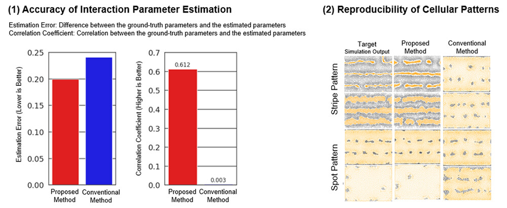 Figure 4. Evaluation Results of the Proposed Method. (1) Quantitative Evaluation of the Inverse Surrogate Model. The proposed method outperformed the conventional method in terms of both estimation error and correlation coefficient. (2) Visual Evaluation of Cellular Pattern Reproducibility. The proposed method more successfully reproduced the characteristic features of the target cellular patterns.