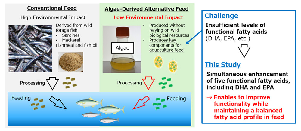 Figure 1. Overview of algae-derived alternative feed, key research and development challenges, and the achievement of this study.