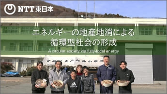 Image of “A circular society via fully-local energy“