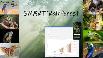 Image of ”SMART Rainforest”