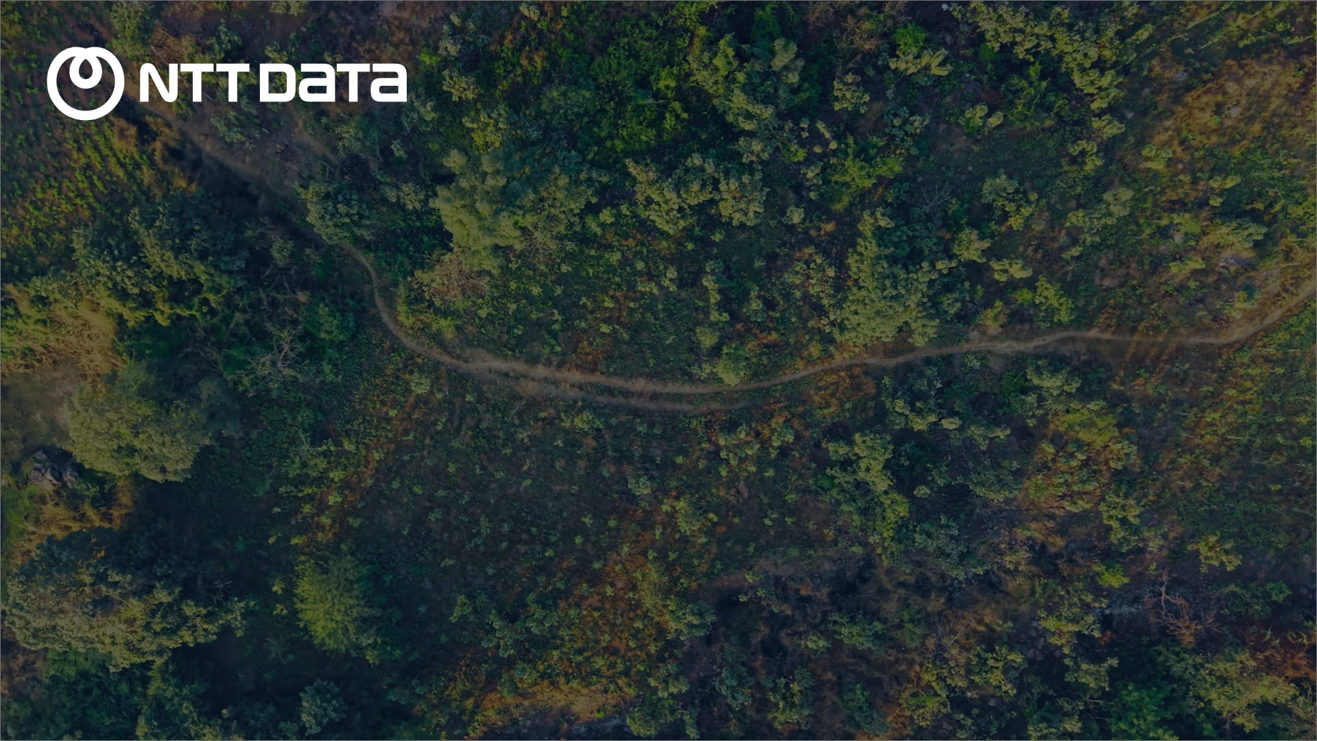 Image of “Miyawaki Forest - Jad Se Majboot“