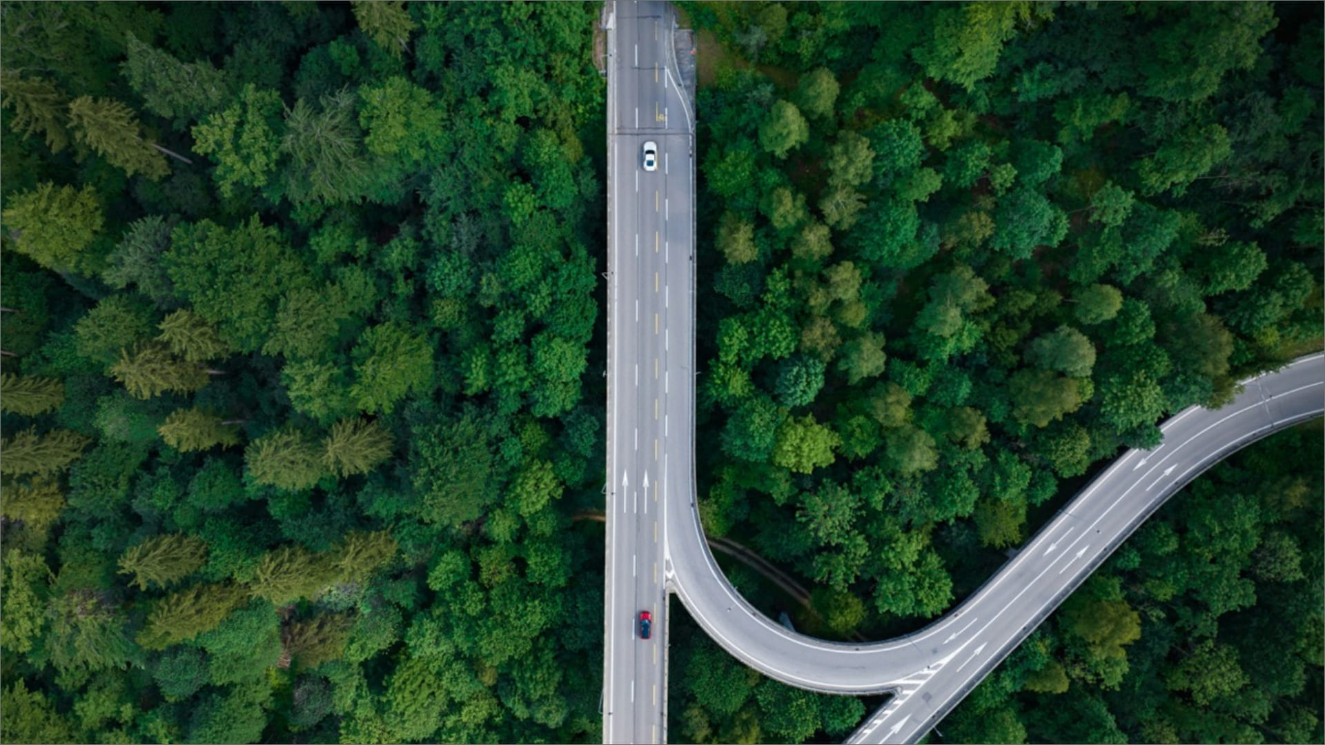 Image of “New Mobility (NeMo) at NTT DATA DACH“