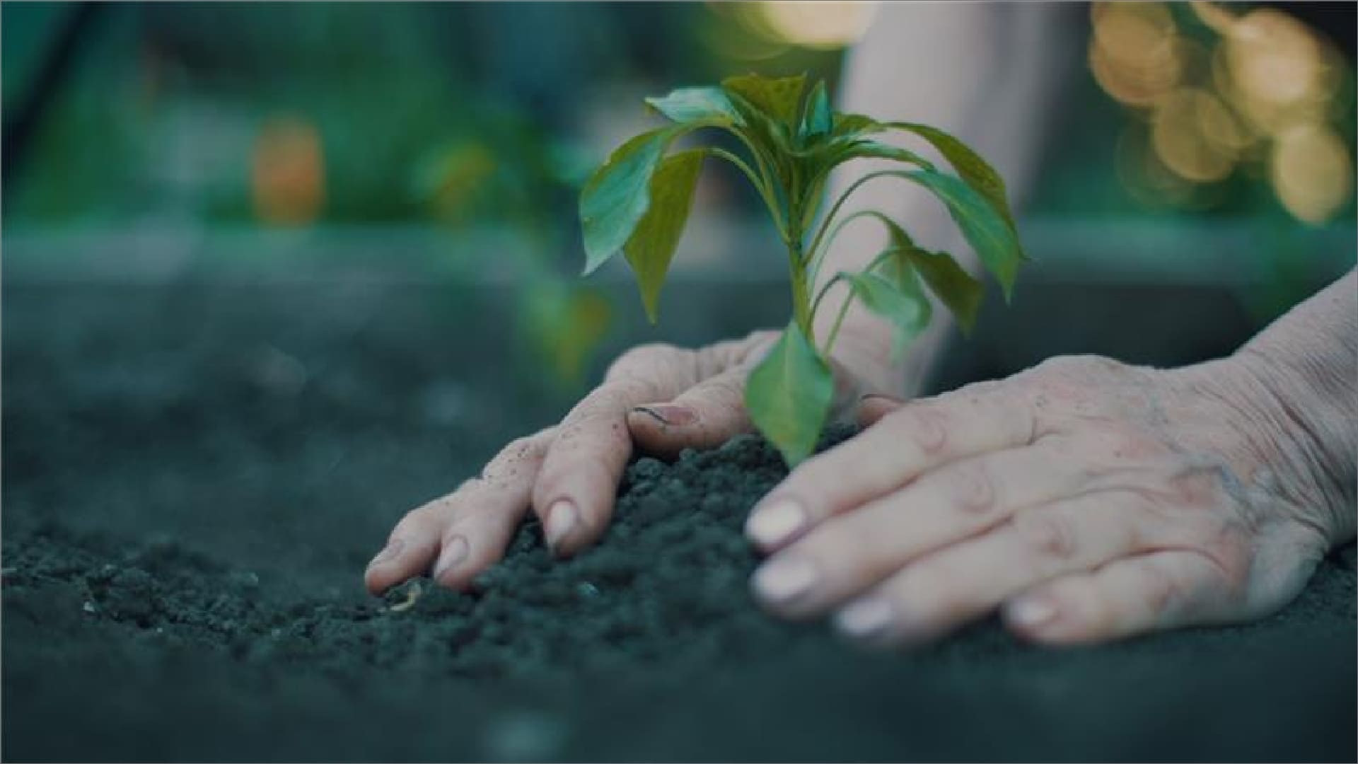 Image of “Move for the SDGs“