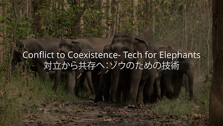 Image of ”Conflict to Coexistence: Tech for Elephants”