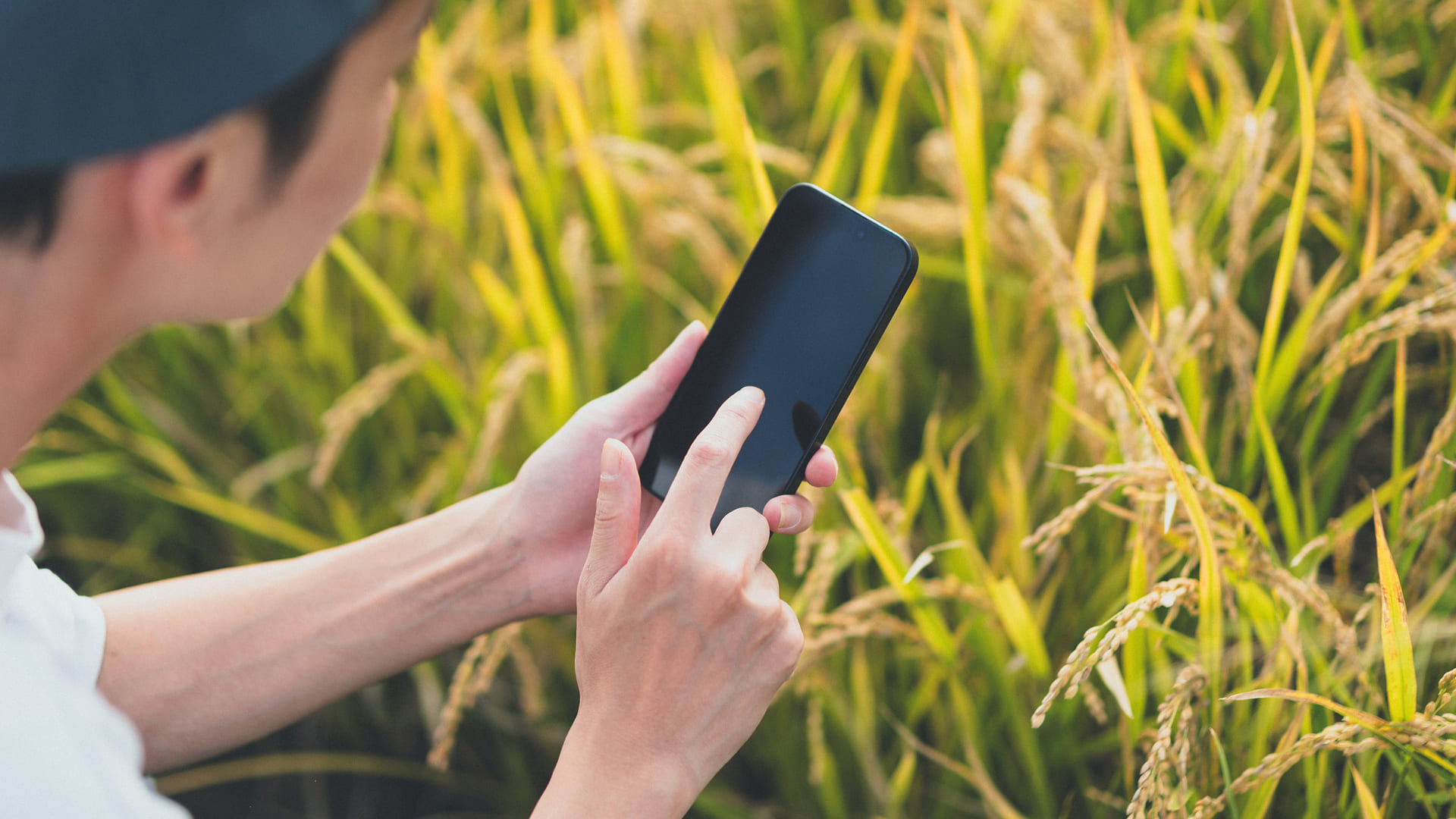 Image of “Supporting Decarbonized Agriculture in Regions Utilizing Aisaku“