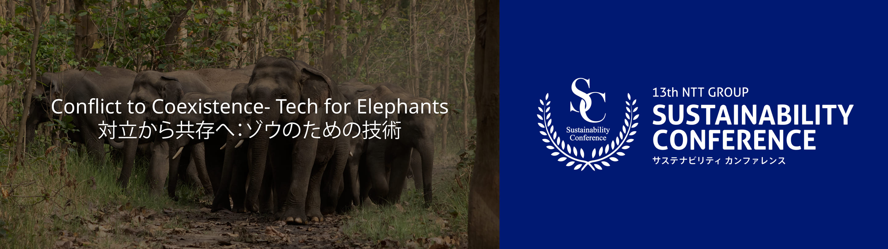 Image of “Conflict to Coexistence: Tech for Elephants“