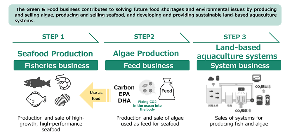 NTT Green & Food's Three-Step Approach
