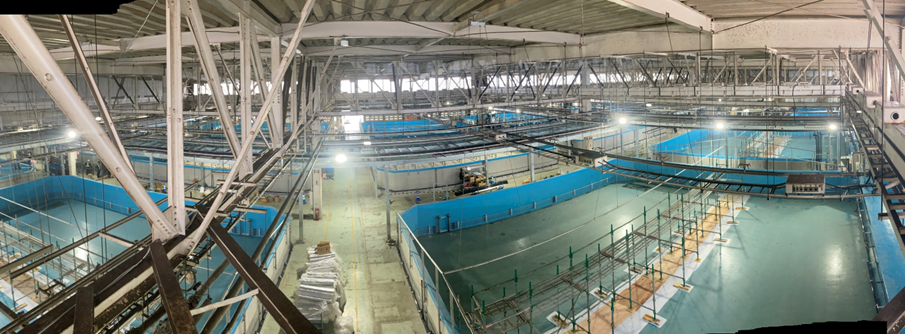 Iwata Plant