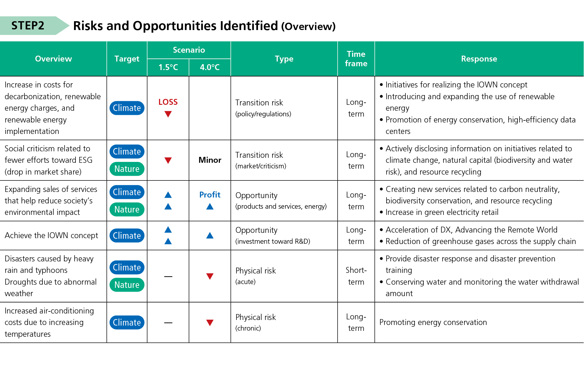 STEP2 Risks and Opportunities Identified (Overview)