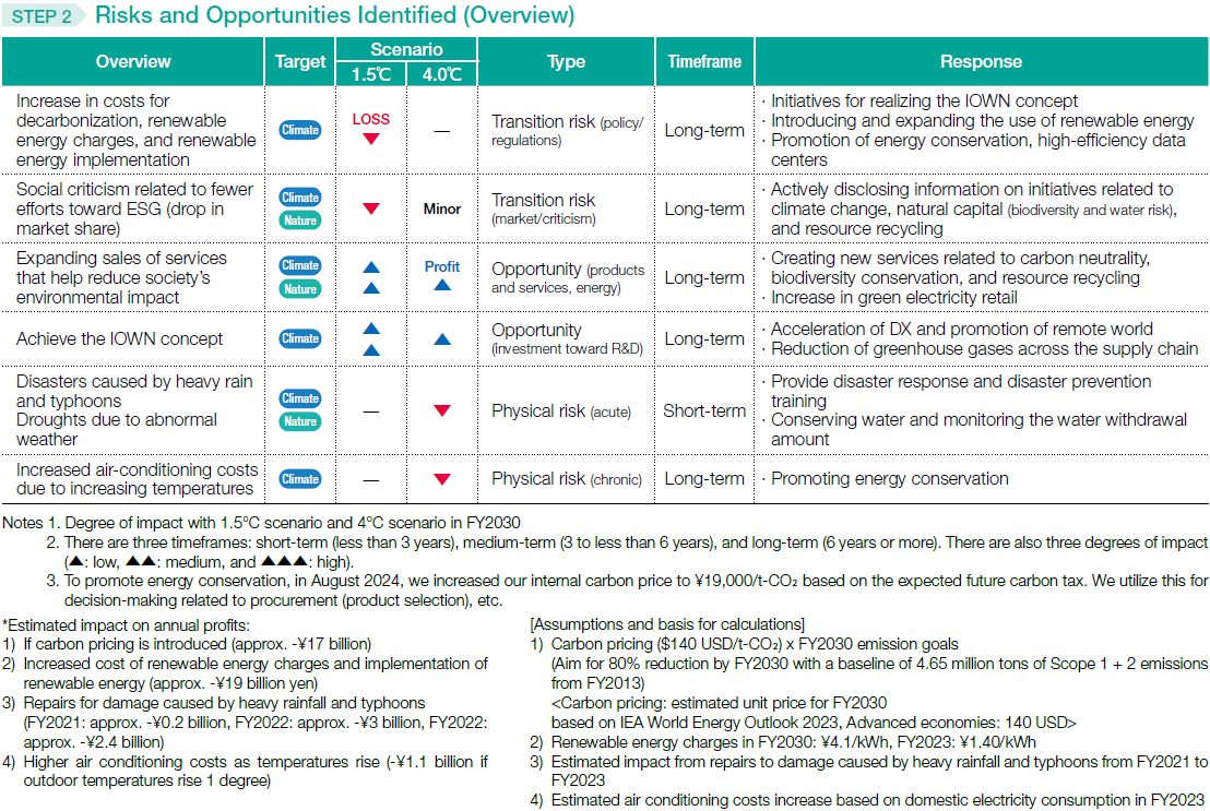 STEP2 Risks and Opportunities Identified (Overview)