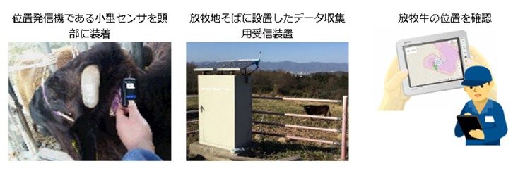 LoRa®ソリューションによる放牧管理（島根県畜産技術センターとの実証実験の様子）