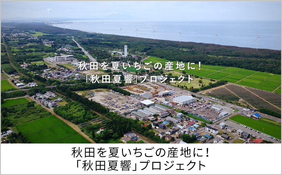 秋田を夏いちごの産地に！「秋田夏響」プロジェクト
