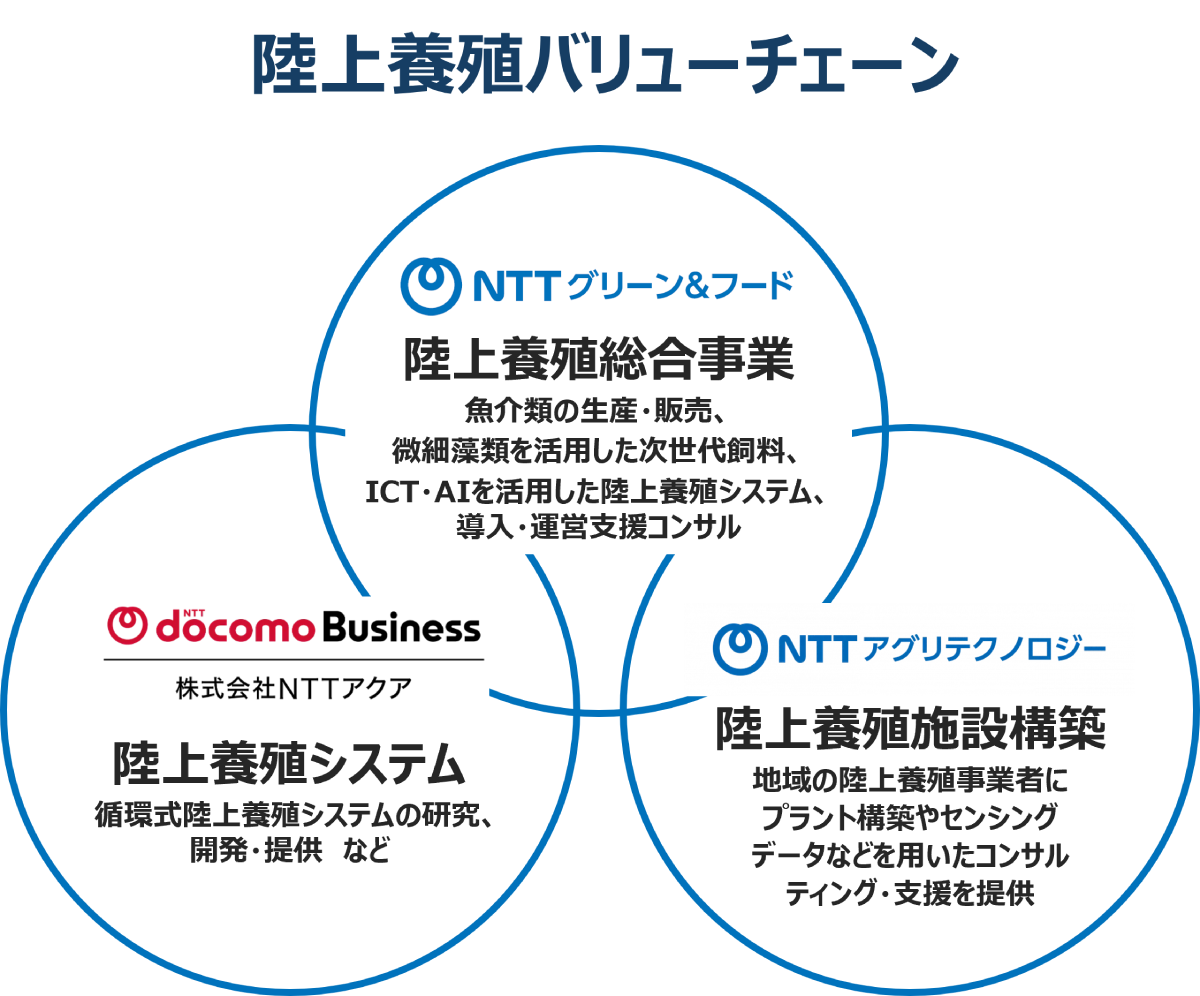 陸上養殖バリューチェーンの図：NTTグリ-ン&フード 陸上養殖総合事業 魚介類の生産・販売、微細藻類を活用した次世代飼料、ICT・AIを活用した陸上養殖システム、導入・運営支援コンサル 株式会社NTTアクア 陸上養殖システム 循環式陸上養殖システムの研究、開発・提供　など NTTアグリテクノロジー 陸上養殖施設構築 地域の陸上養殖事業者にプラント構築やセンシングデータなどを用いたコンサルティング・支援を提供