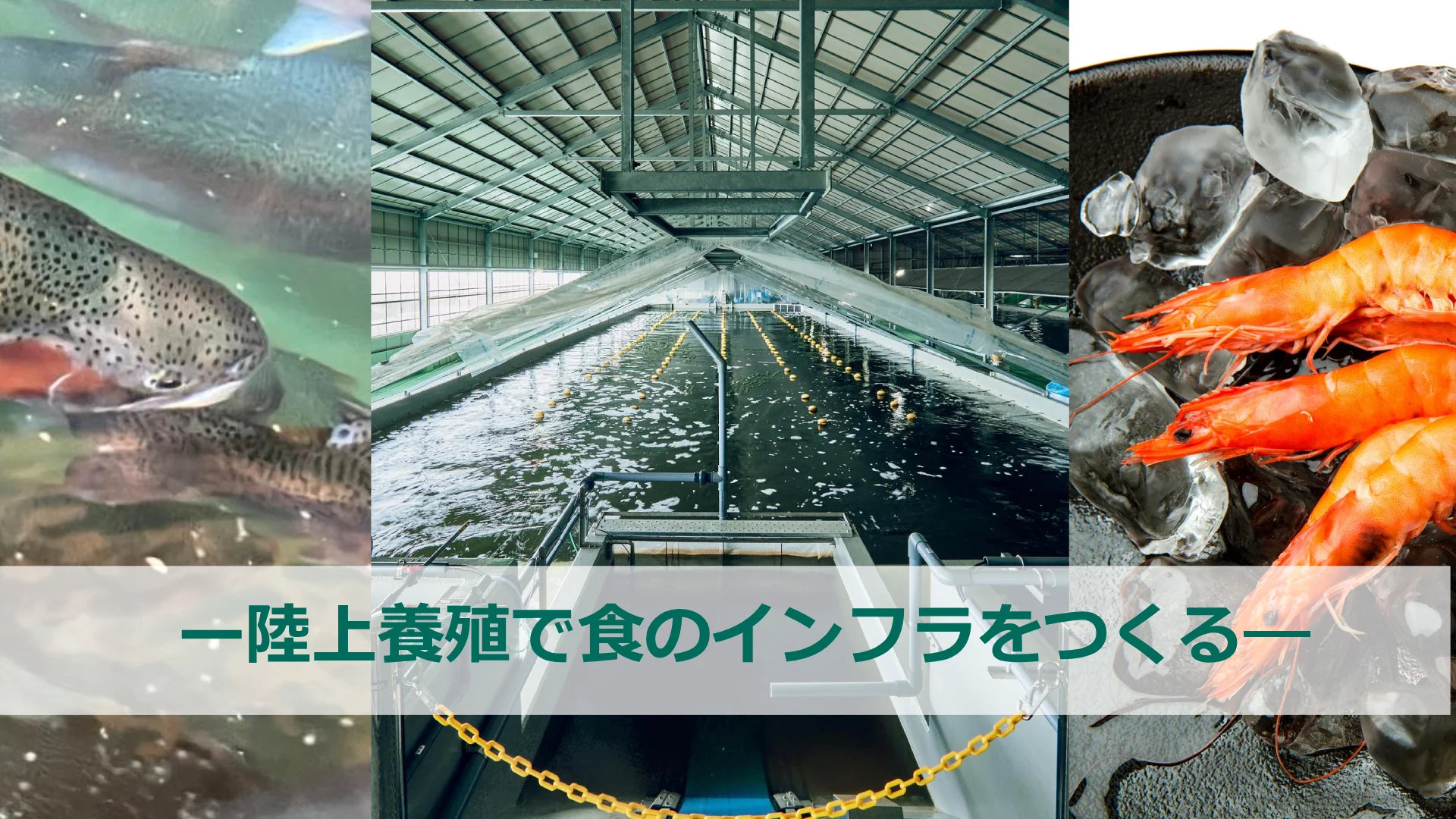 画像：ー陸上養殖で食のインフラをつくる―