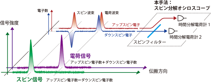 図1：スピン分解オシロスコープによる電荷信号・スピン信号測定の概念図