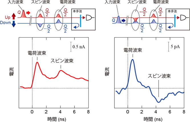図2：スピン電荷分離現象の測定例（左）アップスピン電子集団（波束）入力時の測定結果（右）ダウンスピン電子集団（波束）入力時の測定結果