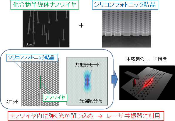 図3　ナノワイヤ誘起ナノ光共振器