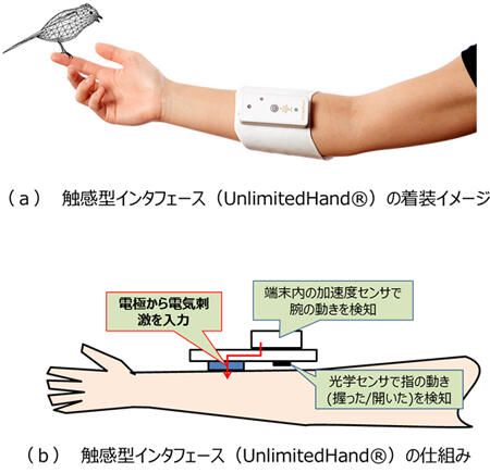 図1．触感型インタフェース（UnlimitedHand®）