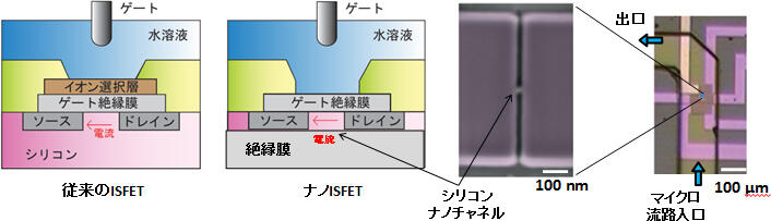 図1：従来のISFETとナノISFETのデバイス構造