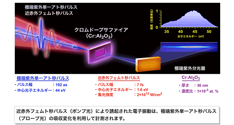 図3：過渡吸収分光法