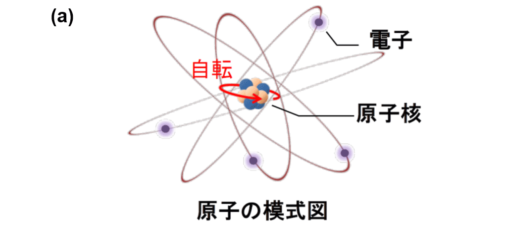 図1　核スピンの概念図（a）