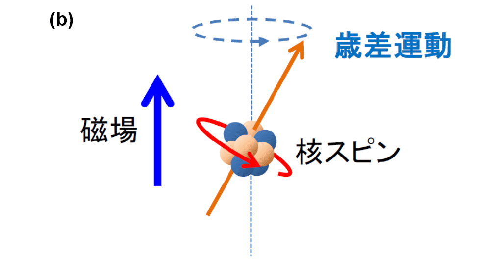 図1　核スピンの概念図（b）