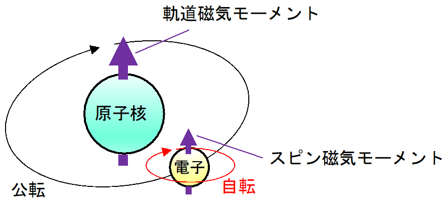 図6：原子核の周りの電子の公転と自転によって生じる軌道磁気モーメントとスピン磁気モーメント。