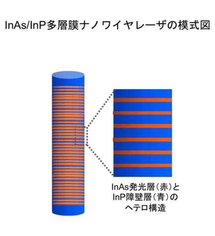 InAs/InP多層膜ナノワイヤレーザの模式図