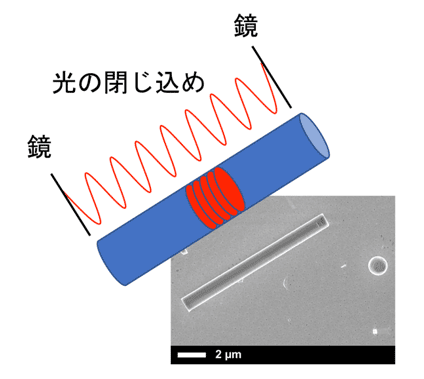 図7：ナノワイヤ単体による光共振器の形成