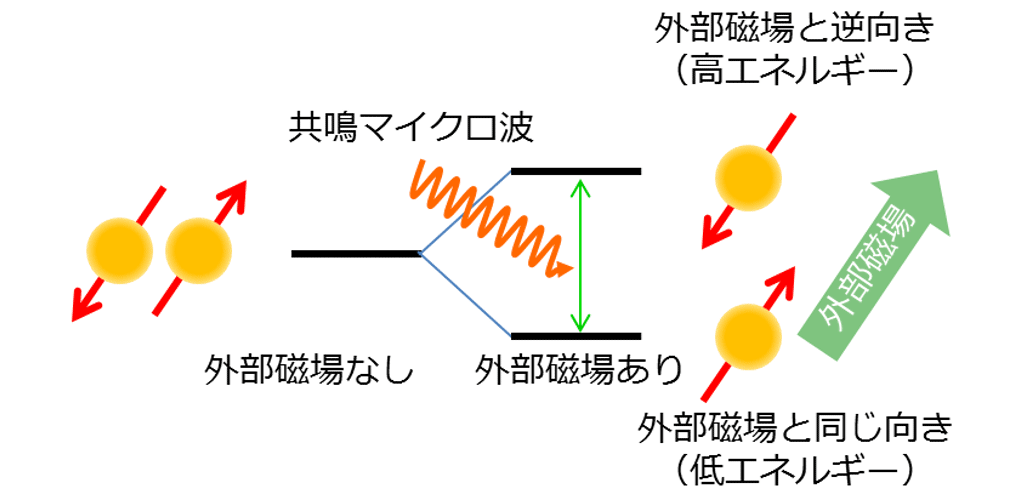 図2　電子スピン共鳴の概念図
