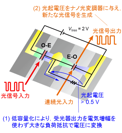 図3ナノ受光器とナノ光変調器の集積によるO-E-O変換素子 右：光非線形動作の動作原理