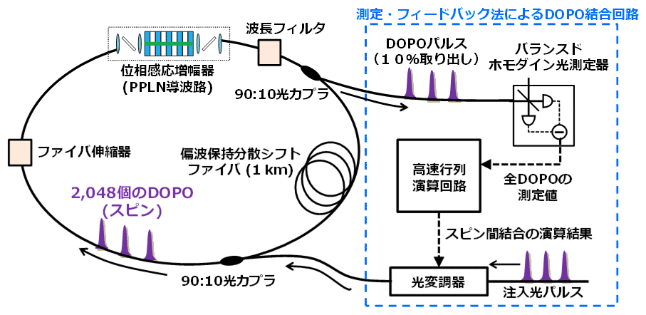 図2 測定・フィードバック法を用いたコヒーレントイジングマシンの実験系概略