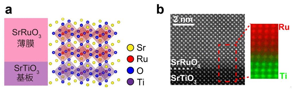 図5a：SrRuO3薄膜のサンプル構造（左）、及び結晶構造（右）。基板、薄膜ともに結晶構造は、ペロブスカイト構造。図5b：SrRuO3薄膜の電子顕微鏡像。
