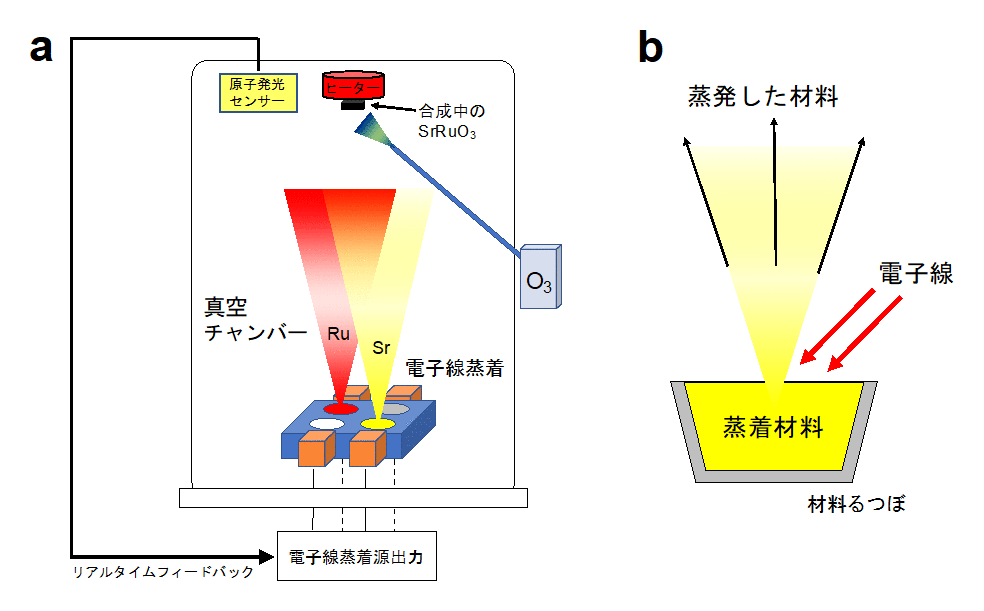 図7a：本研究で用いた分子線エピタキシー装置の概念図。上部に取り付けられた原子発光センサでSrとRu原子の供給量をモニタリングし、各原子の供給量が常に一定となるように電子線蒸着の出力をリアルタイムでコントロールしています。図7b： 電子線蒸着の概念図。高速の電子線を蒸着材料に衝突させ、材料の温度を上げて蒸発させます。ここで、電子線の出力が大きいほど、蒸着材料の供給量が多くなります