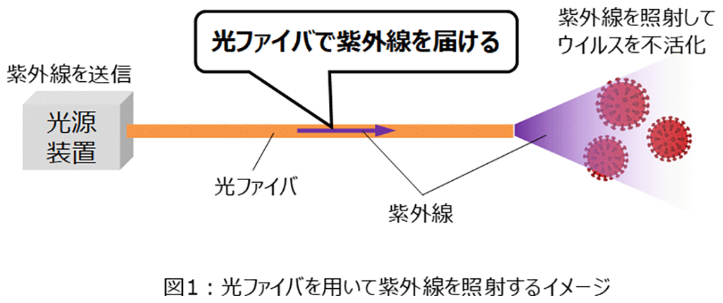 図1：光ファイバを用いて紫外線を照射するイメージ