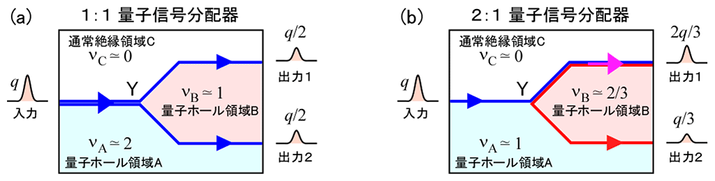 図1　量子化分配器の模式図
