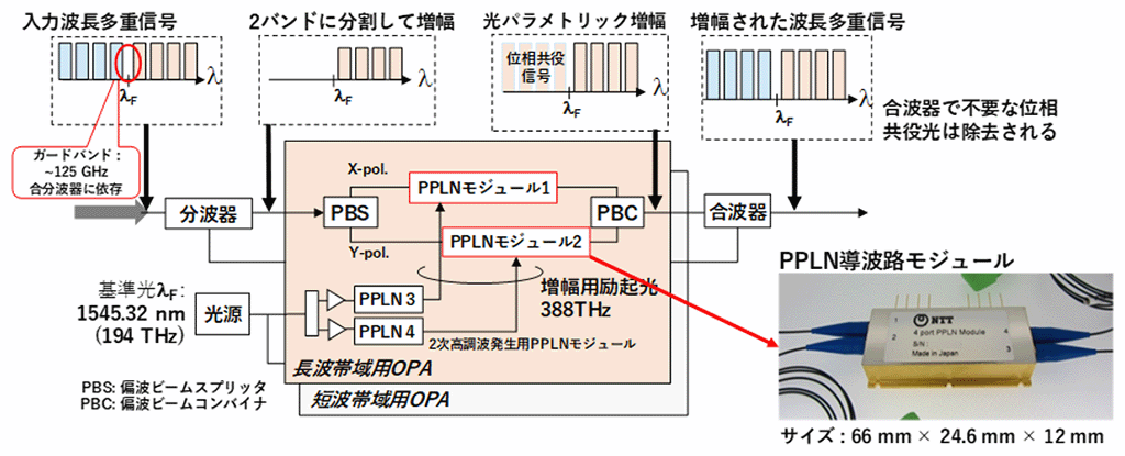 図1　開発した光パラメトリック増幅器の構成とPPLNモジュール