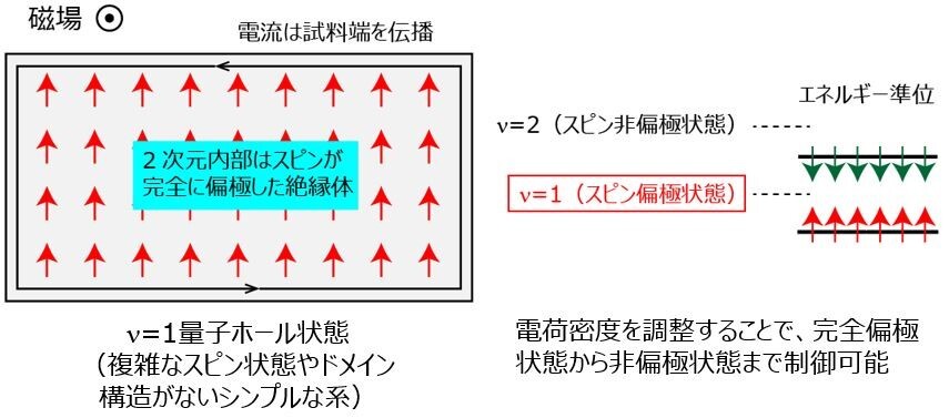 図2：グラフェン量子ホール状態。（左）ν = 1量子ホール状態では、スピンが完全に一方向に揃った絶縁体となる。（右）電子密度を変えることで、スピン偏極状態から非偏極状態まで変化させることができる。
