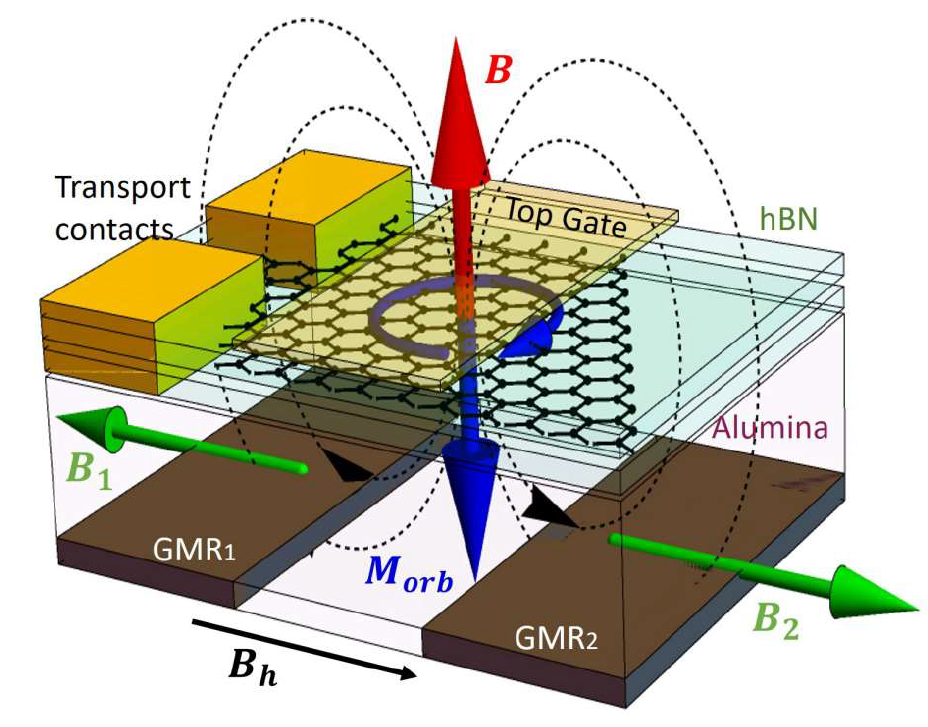 研究概略図：巨大磁気抵抗（GMR）素子による磁気センサを用いた単層グラフェンにおける巨大反磁性の観測