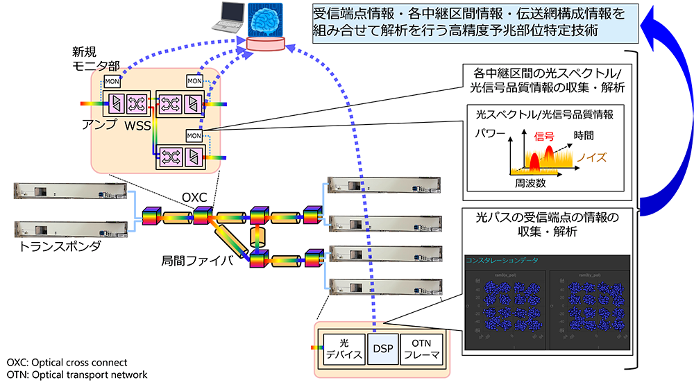 図2 光信号特性情報利用による部位特定イメージ
