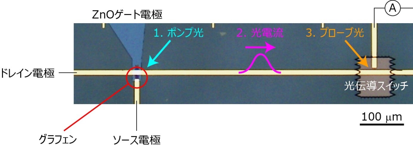 図3：サファイア基板上に作製されたグラフェン光検出器とオンチップTHz分光回路の顕微鏡写真