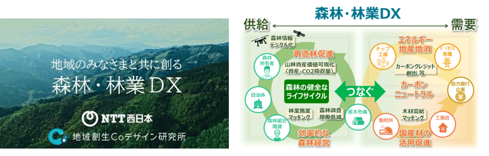 図5. 森林クライド活用による新たなDXモデル