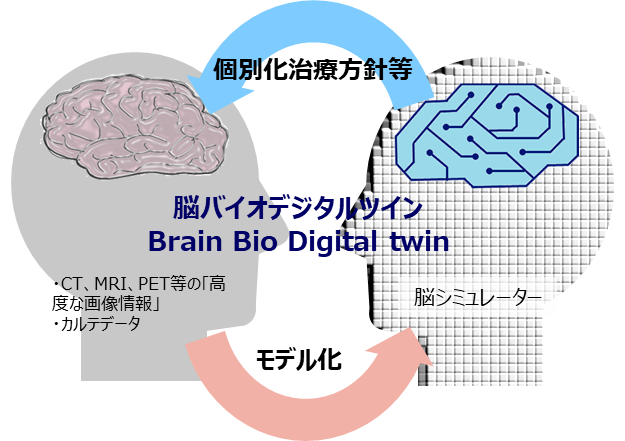 図1．「脳バイオデジタルツイン」のコンセプト