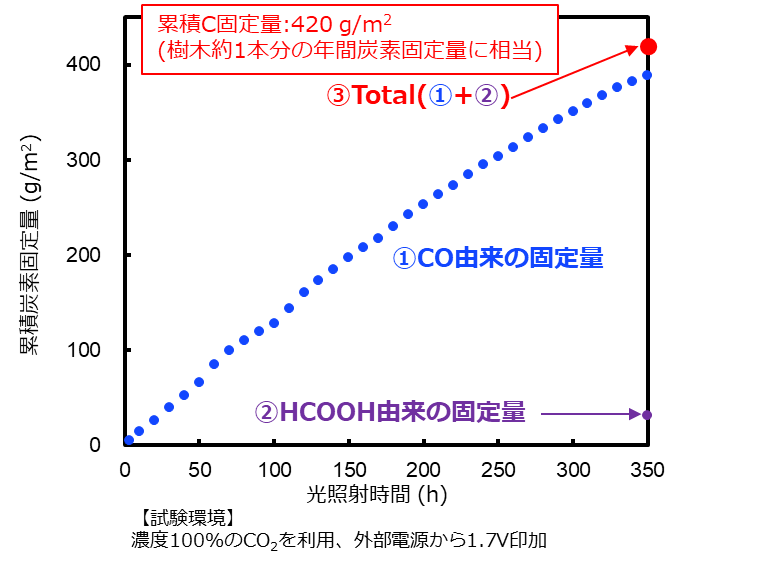 図3. 光照射時間に対する炭素固定量の変化