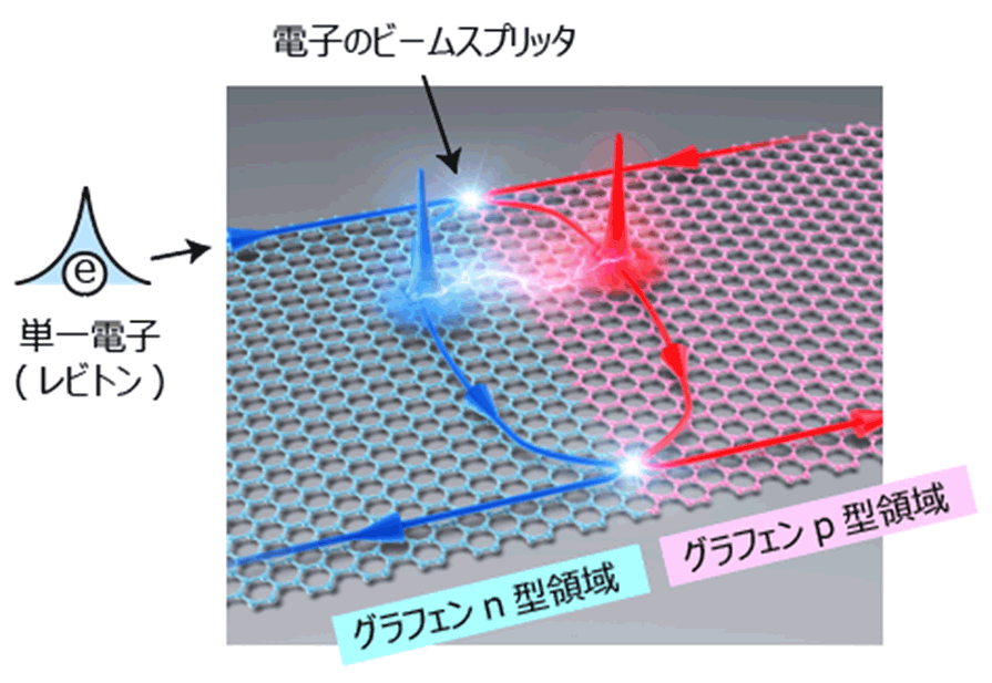 図1：電子の飛行量子ビットのイメージ図。グラフェンp-n接合の両側に形成された2本の1次元チャンネル（青色および赤色矢印）を伝播する軌道の量子的重ね合わせ状態（※2）を制御することで量子ビットとして動作させる。単一電子を左上から入射し、p-n接合の入口と出口に形成されたビームスプリッタで、電子の軌道を分岐・干渉させる。