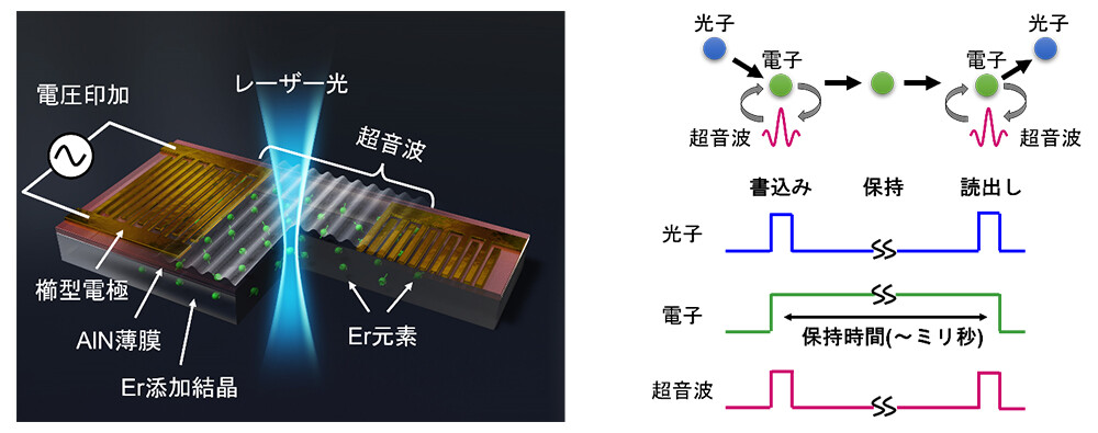 図1：作製した超音波素子の概略図（左）と将来的な量子光メモリ素子としての利用イメージ（右）