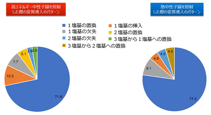 図3. 変異が導入された遺伝子で検出された変異パターン　図中の数字は検出された全変異に占める割合（%）を示している。